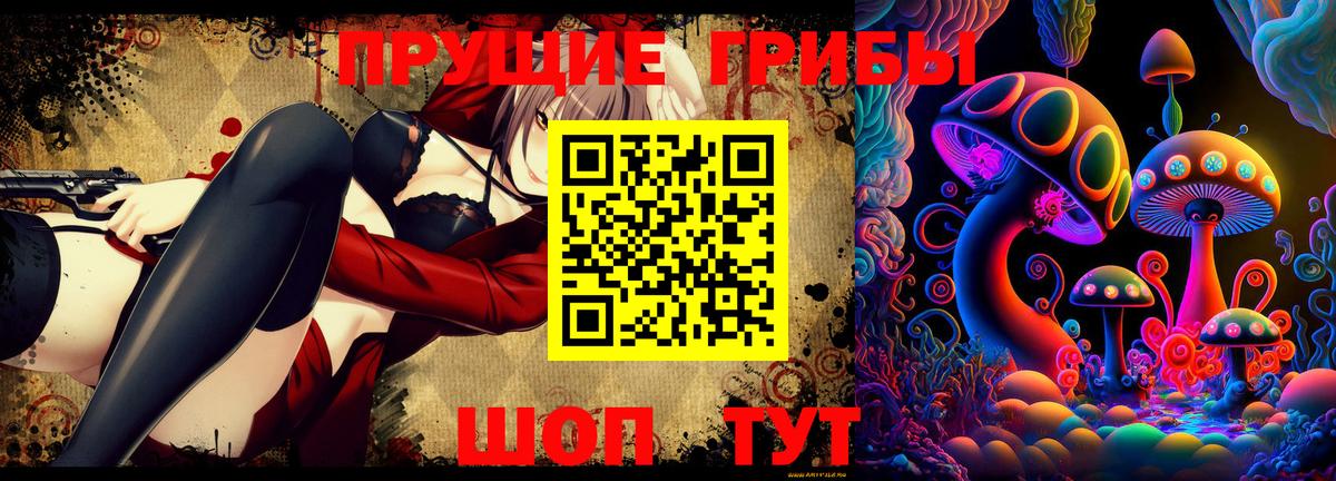 Псилоцибиновые грибы GOLDEN TEACHER  Вход с VPN  Алексеевка 